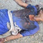 photo_5147781977049509053_x